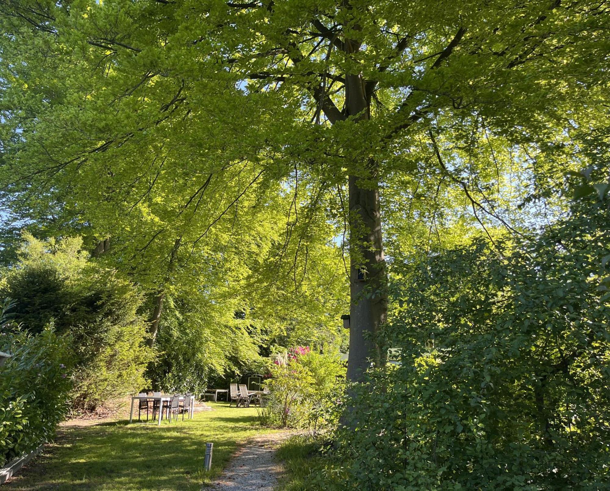 Bungalowpark De Bremerberg 比丁赫伊曾 客房 照片